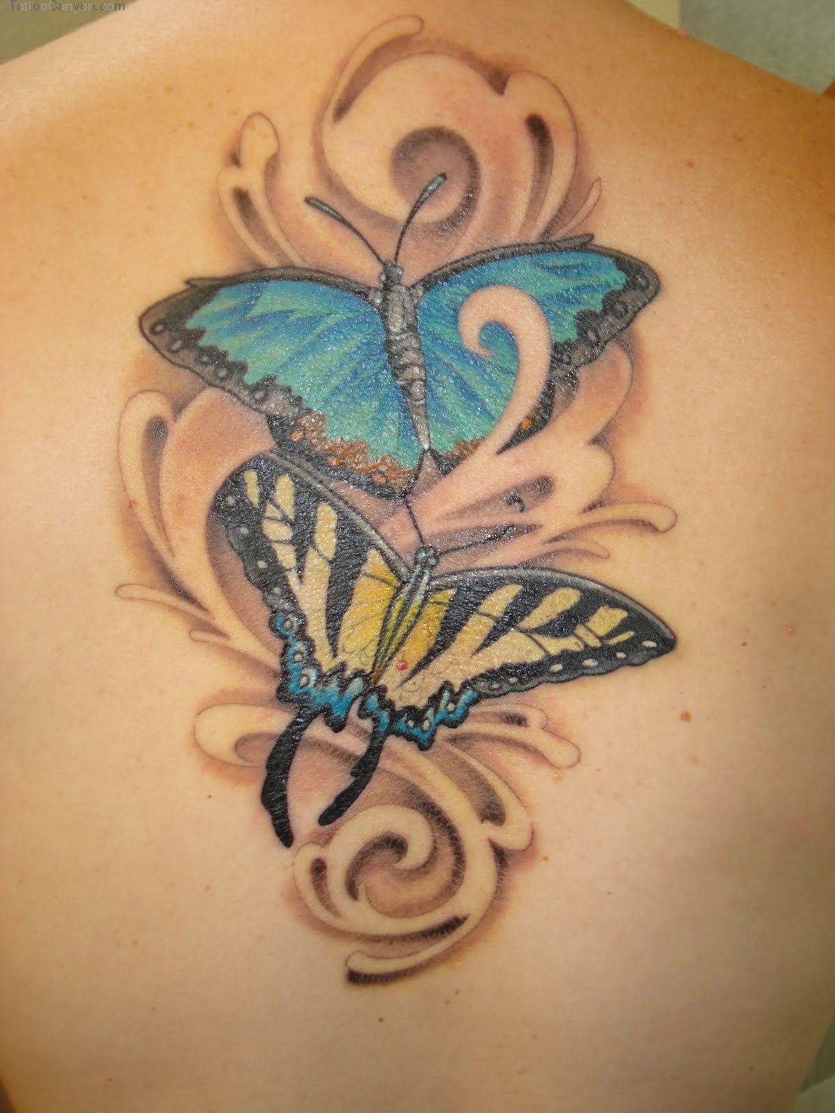 Butterfly Tattoos Designs, Ideas and Meaning | Tattoos For You