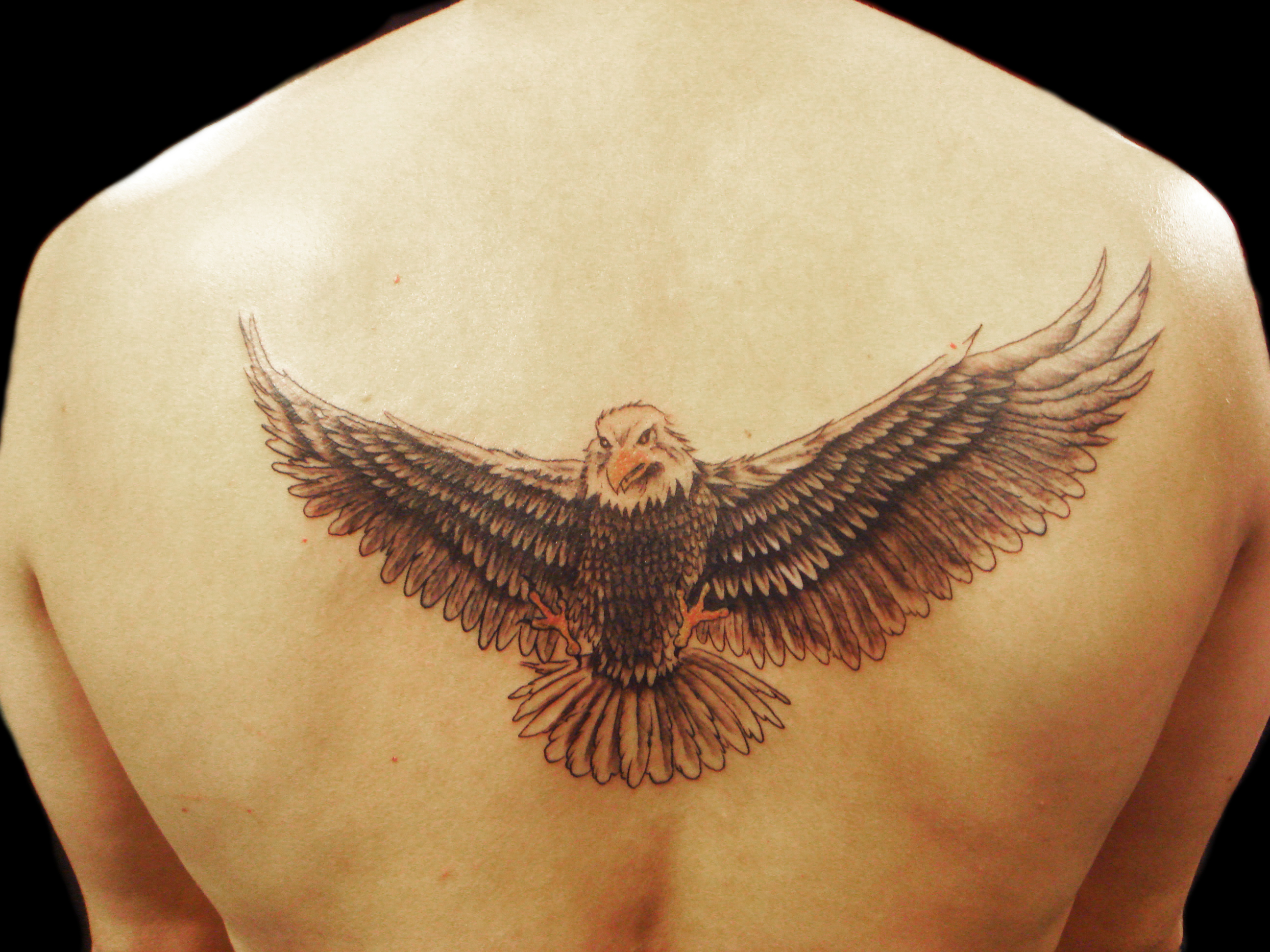 1. Eagle Tattoo Designs for Men - wide 2