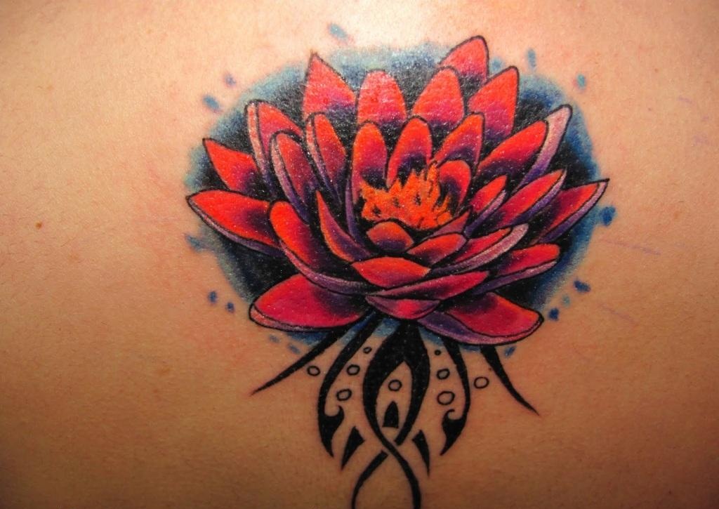 Lotus Tattoos Designs Ideas And Meaning Tattoos For You