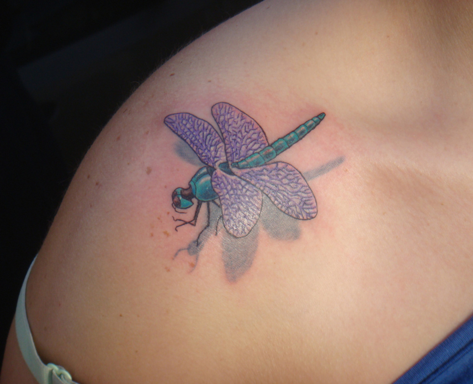 Traditional Dragonfly Tattoo Small - wide 4