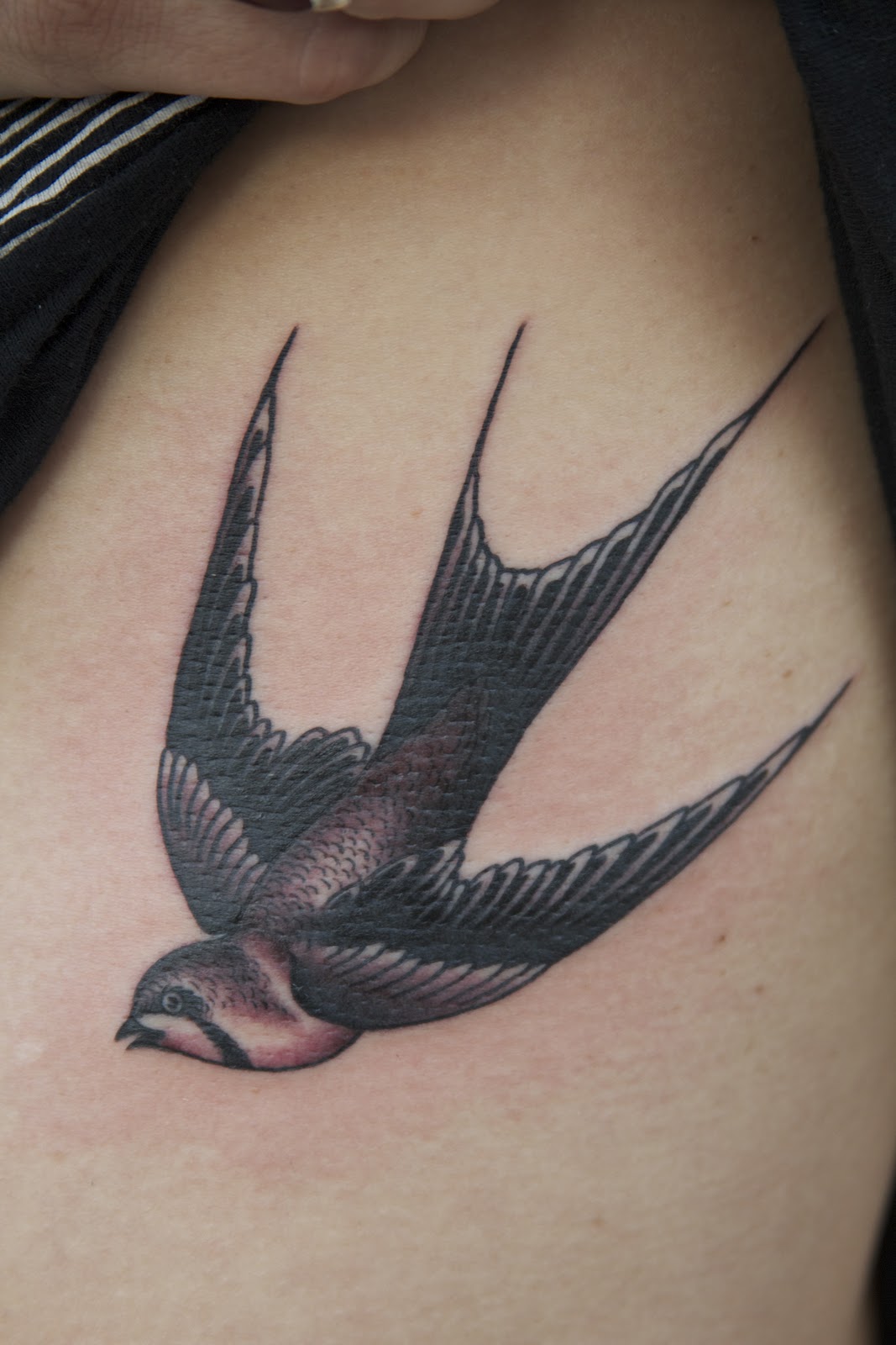 Bird Swallow Tattoo 66