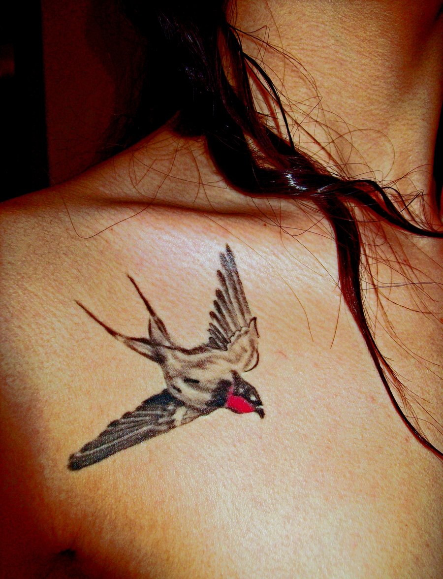 Swallow Tattoos Images 81