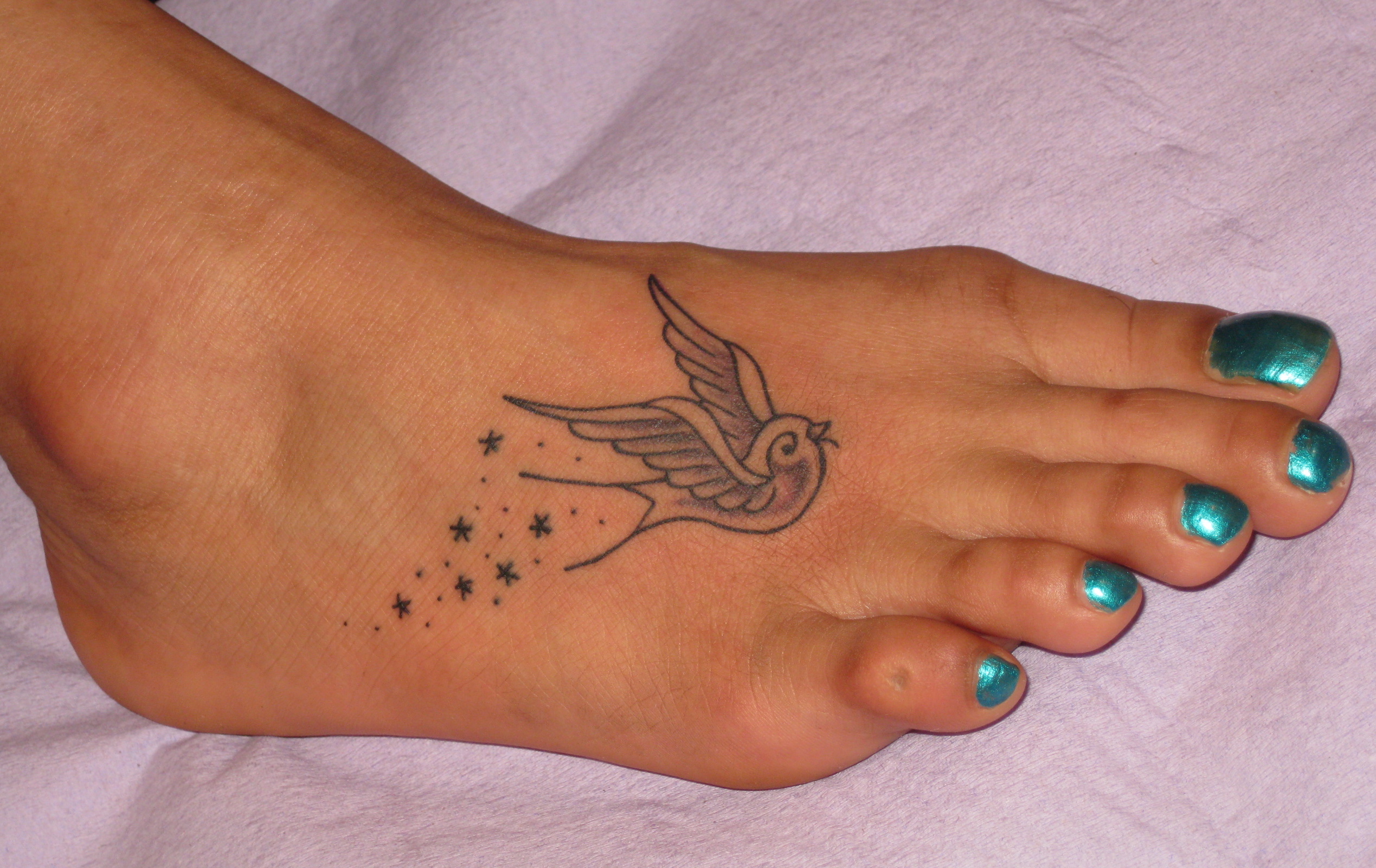 Pictures Of Swallow Tattoos 117