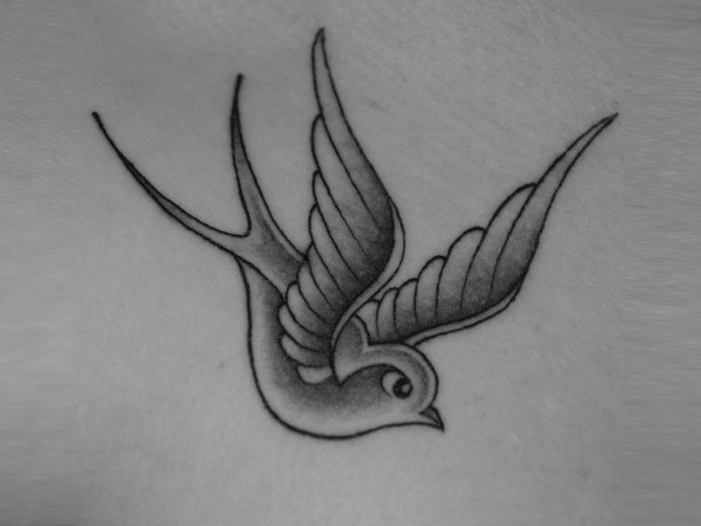 Pictures Of Swallow Tattoos 13