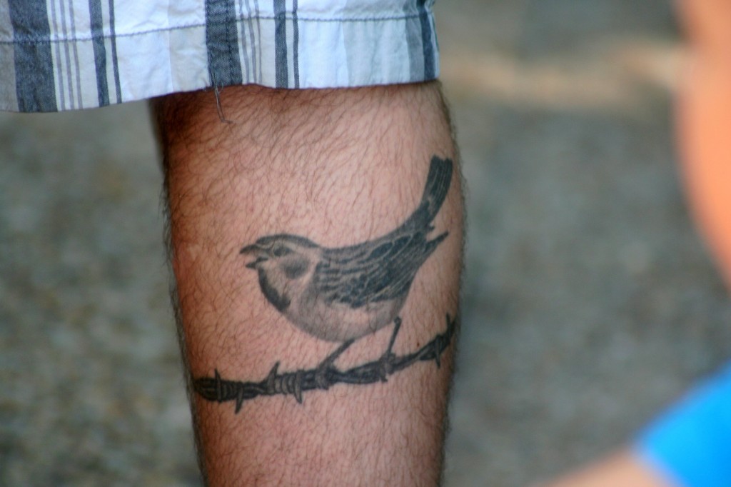 Tattoo Bird