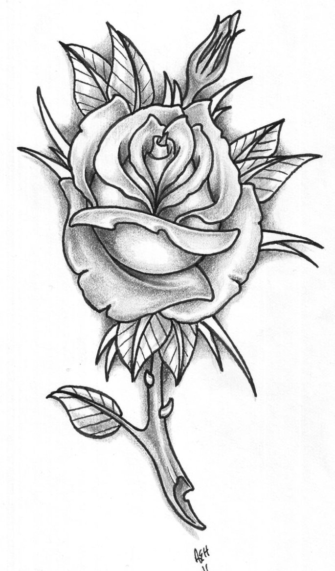 White Rose Tattoo Drawing