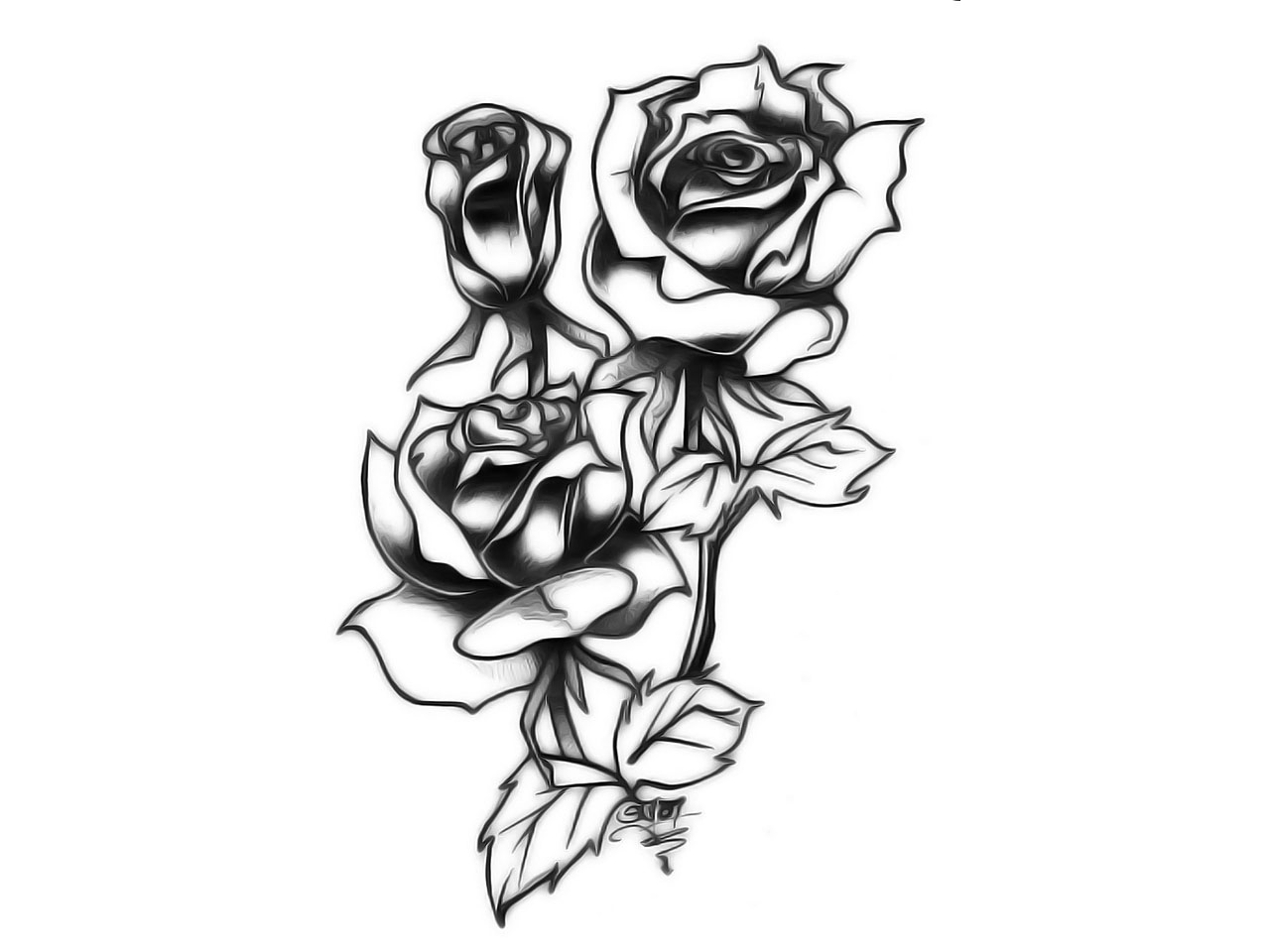 White Rose Tattoo Drawing