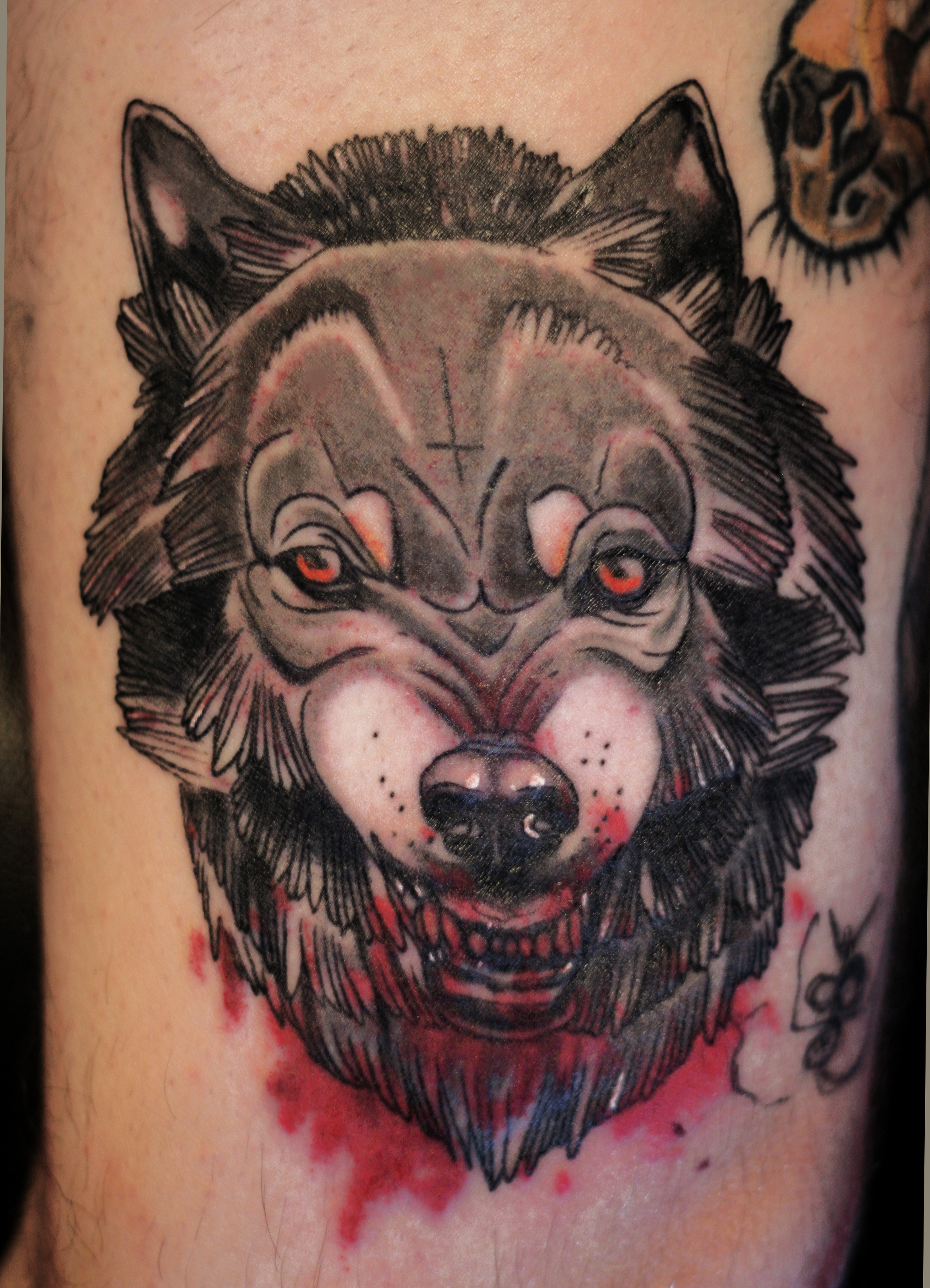 Wolf Tattoos Designs, Ideas and Meaning | Tattoos For You