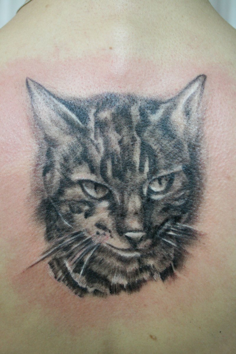 Cat Tattoos Designs, Ideas and Meaning | Tattoos For You