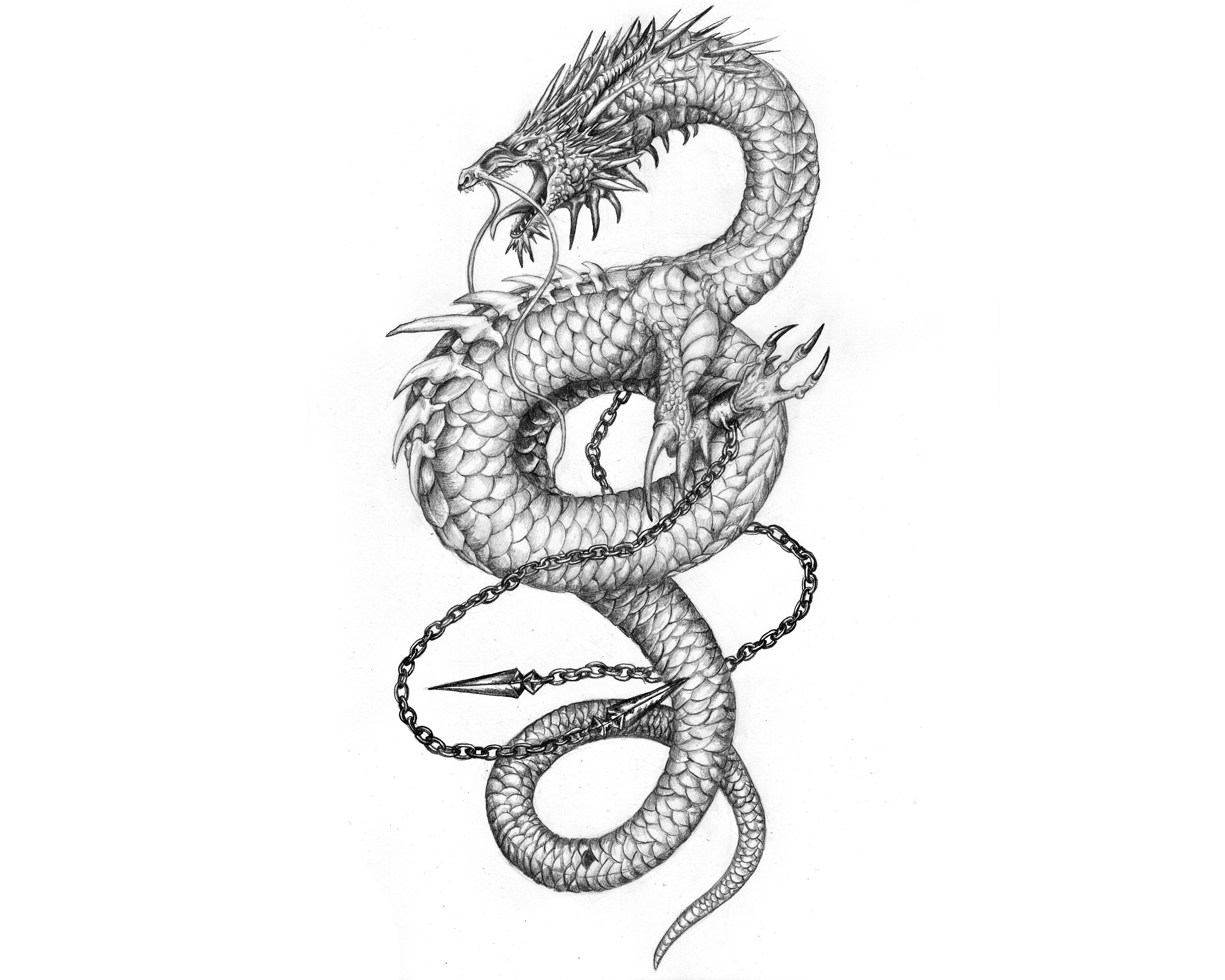 Dragon and Koi Fish Tattoo Meaning: Symbolism and Design Ideas - wide 3