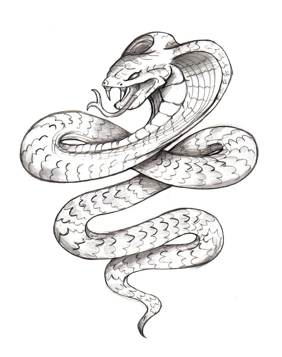 Snake Tattoos Designs, Ideas and Meaning | Tattoos For You