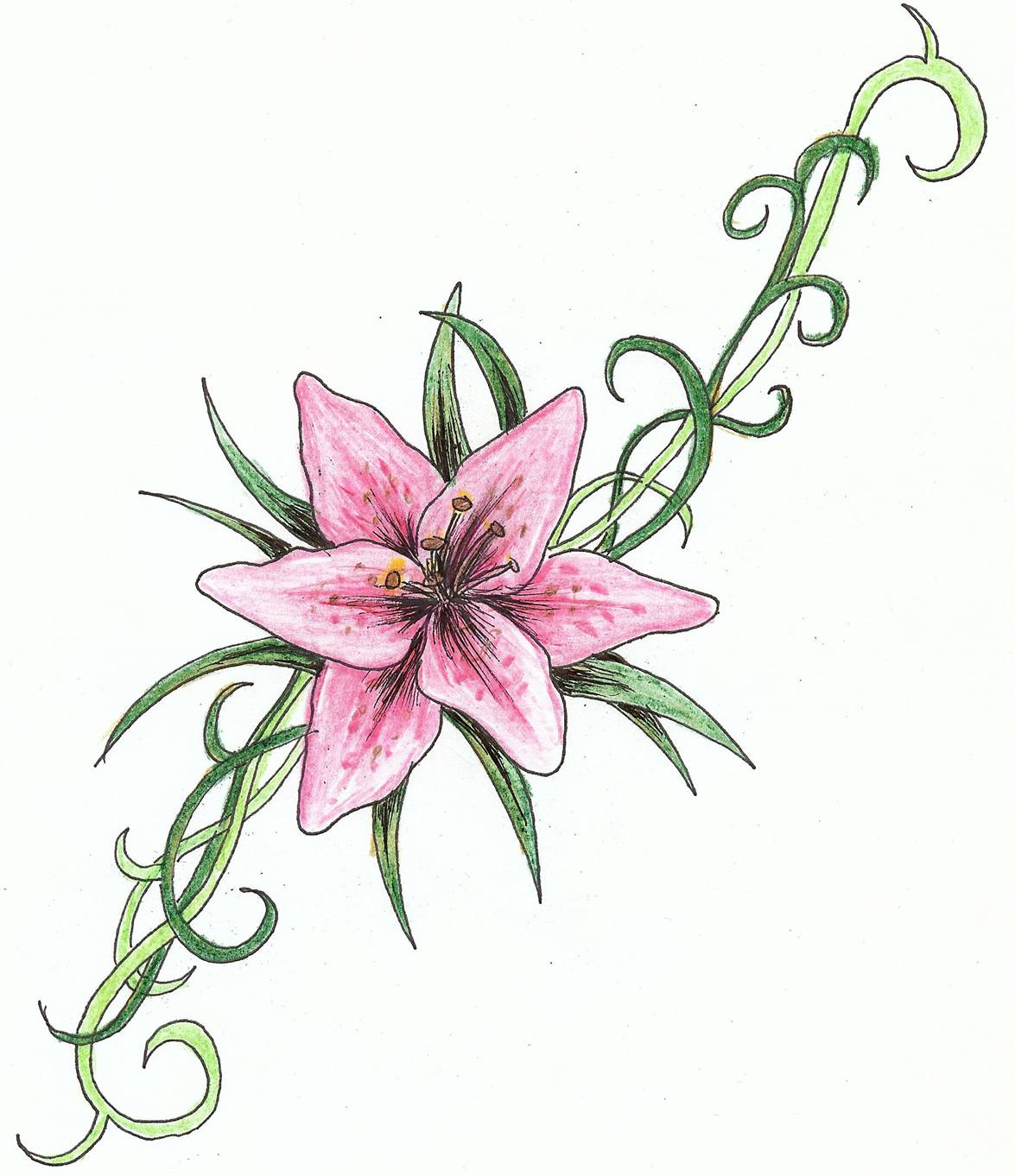 Lily Tattoos Designs, Ideas and Meaning | Tattoos For You