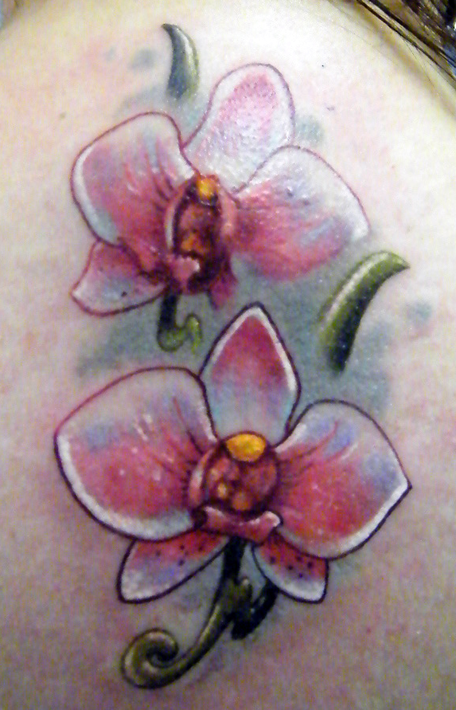 Orchid Tattoos Orchid Tattoos