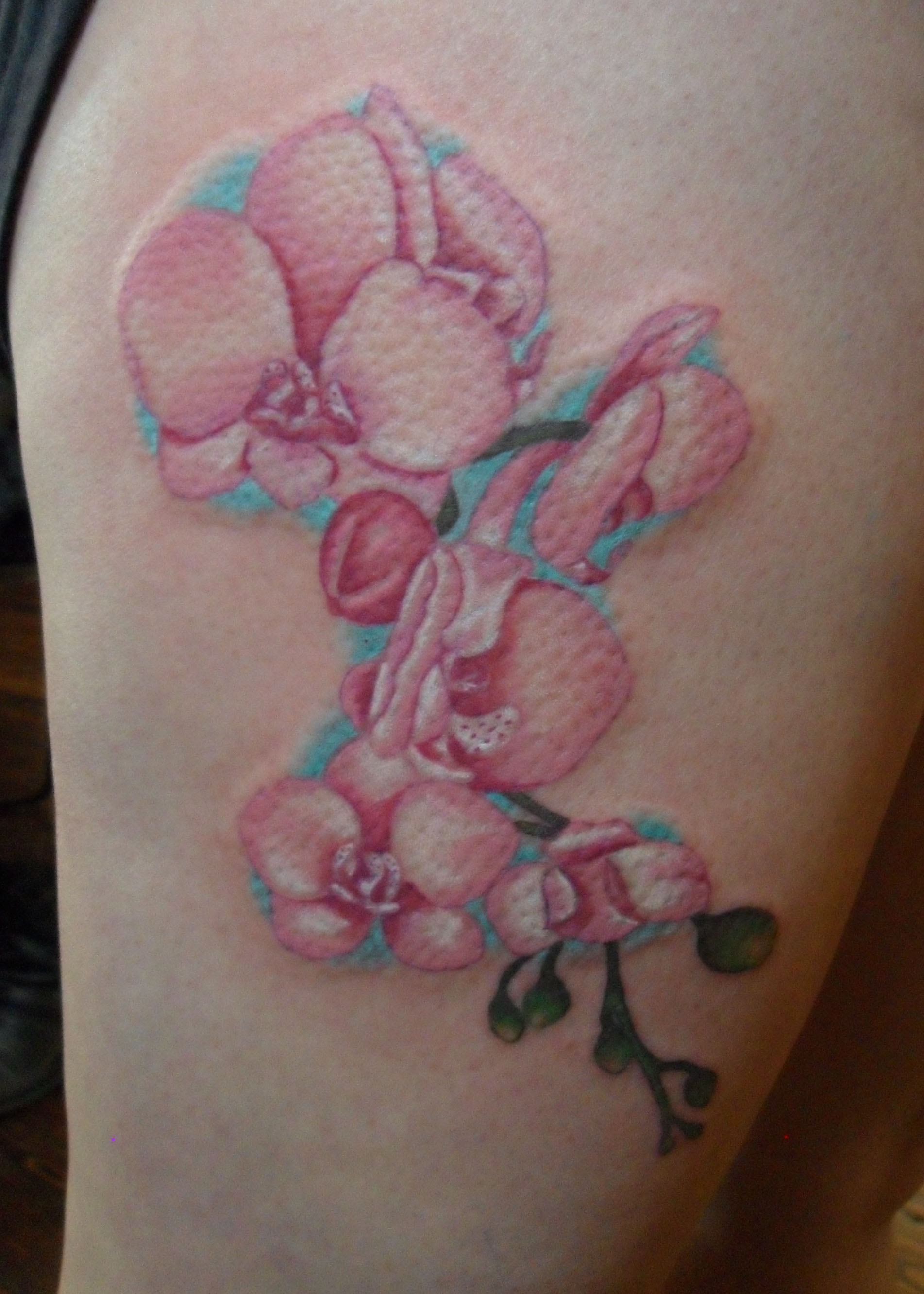 Orchid Tattoos