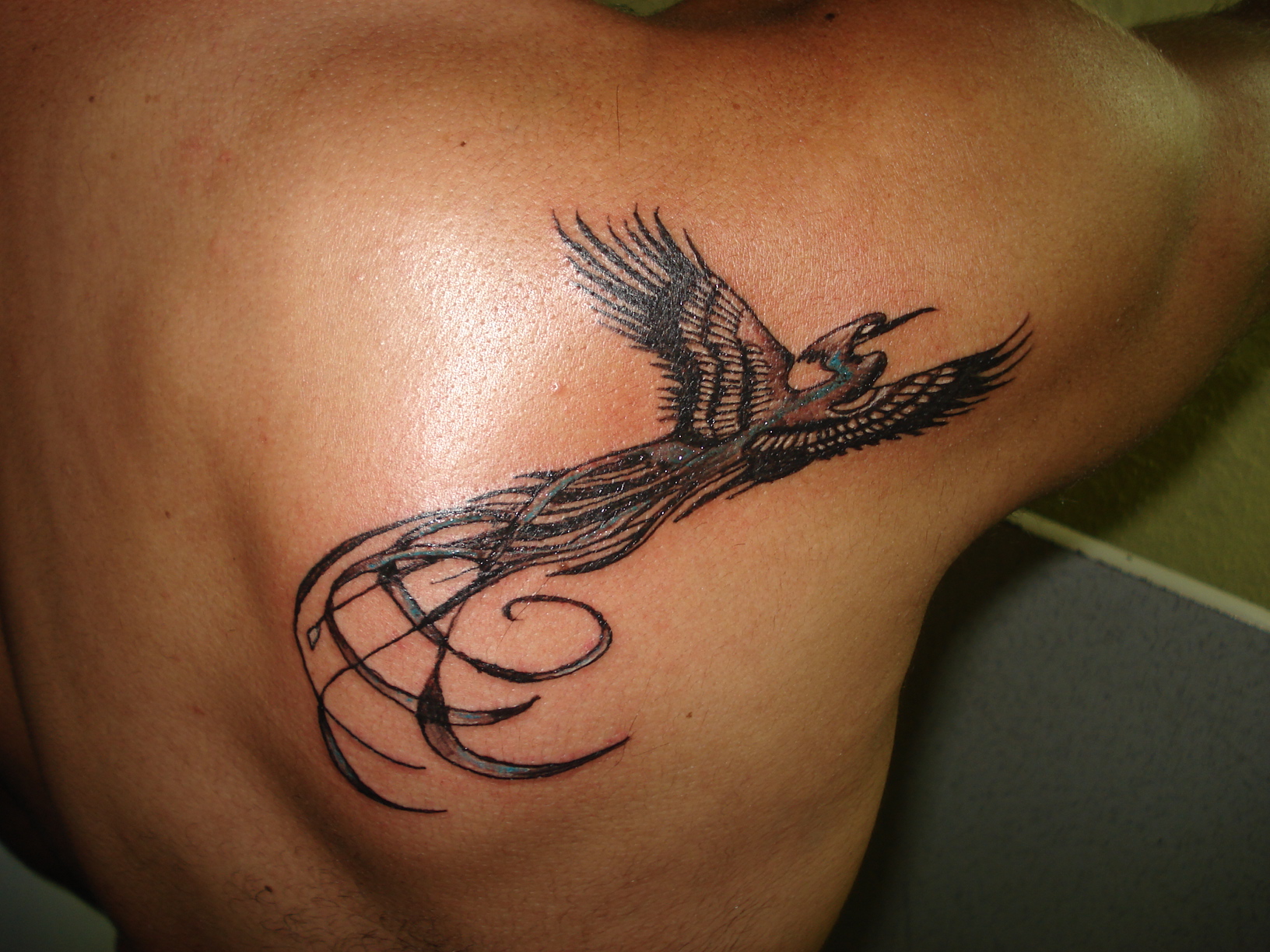 Phoenix Tattoo Meanings and Symbolism - wide 8