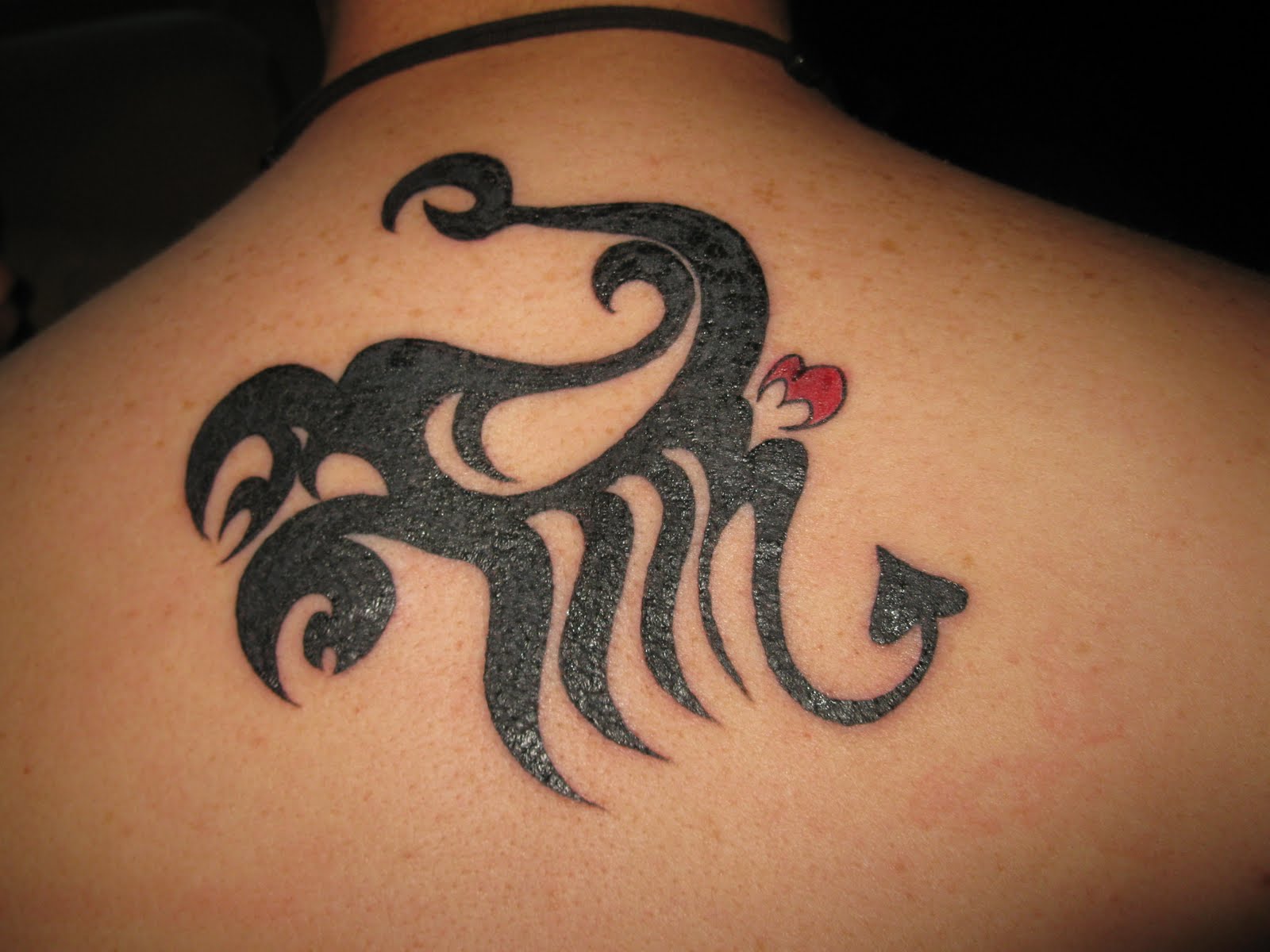 Scorpio Tribal Tattoo Designs - wide 7