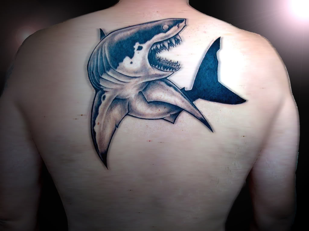 Shark Tattoo Pictures 54
