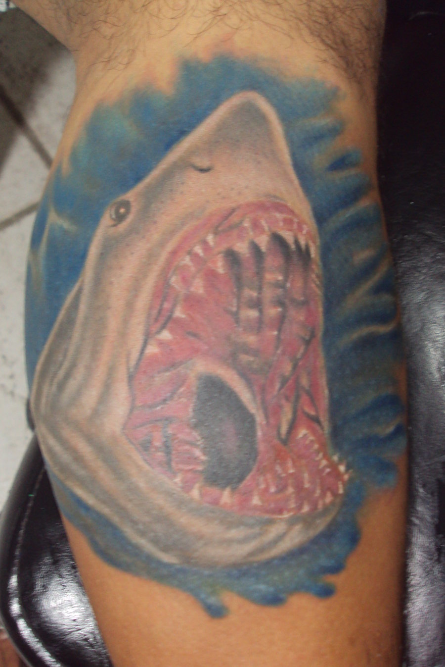 Shark Tattoo Pictures 14