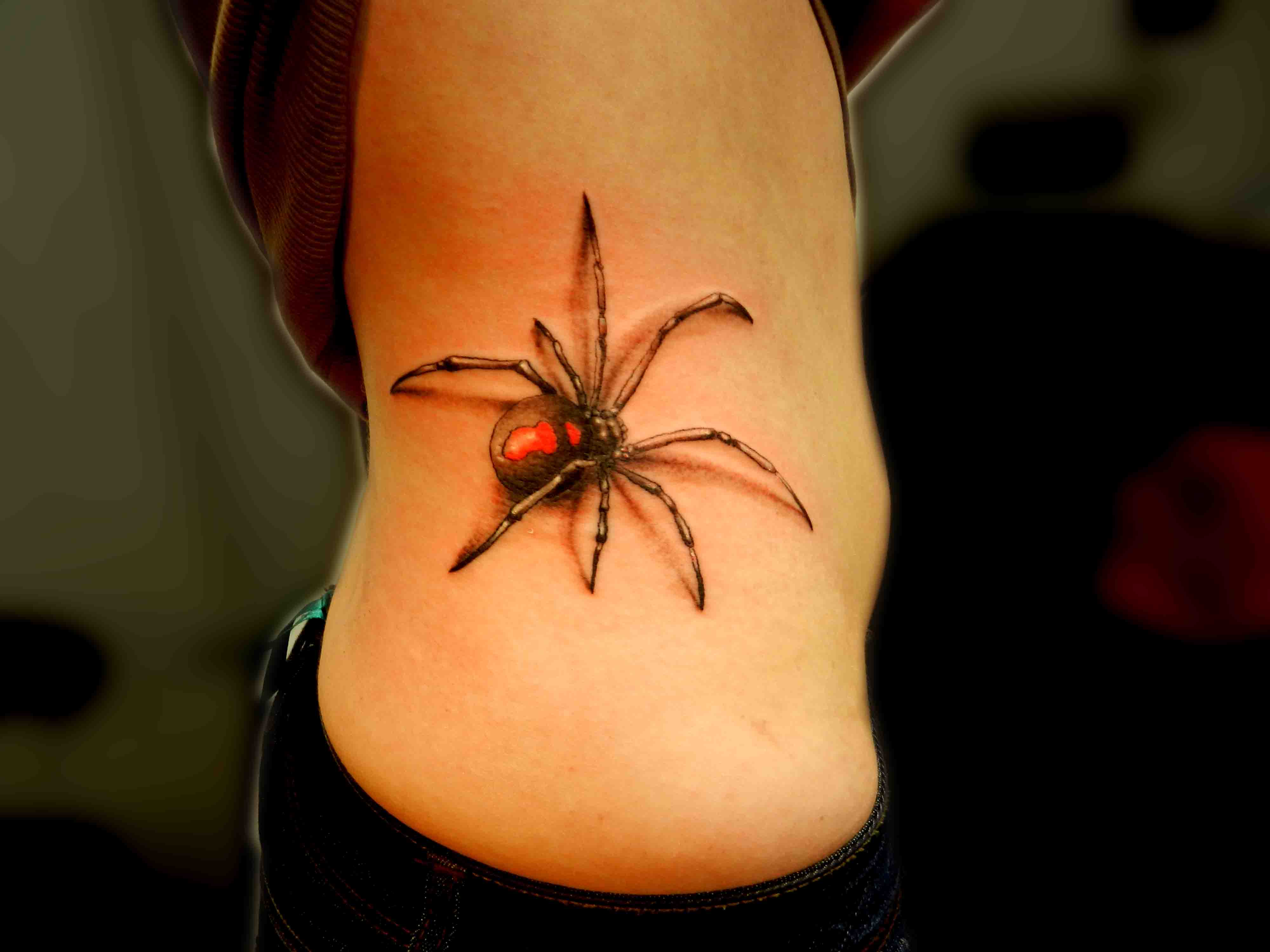 Spider and web tattoo designs - wide 2