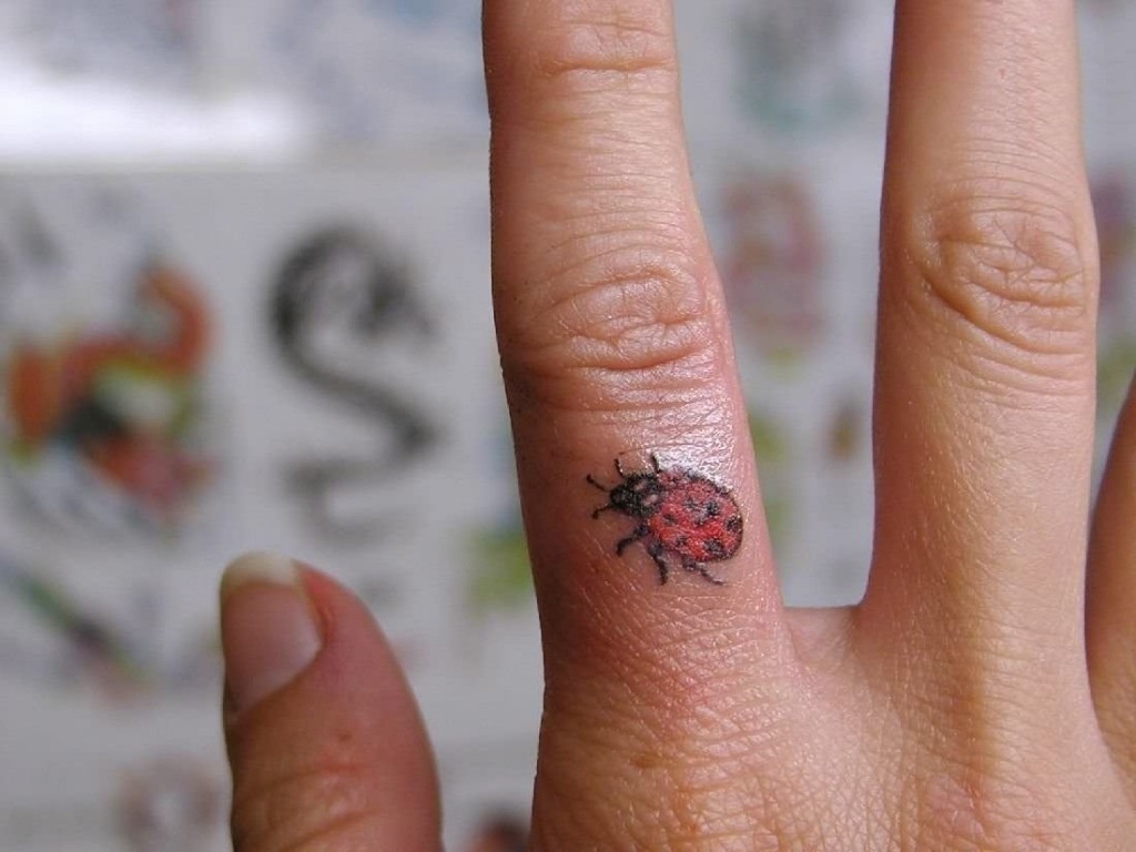 Ladybug Tattoos Designs, Ideas and Meaning | Tattoos For You