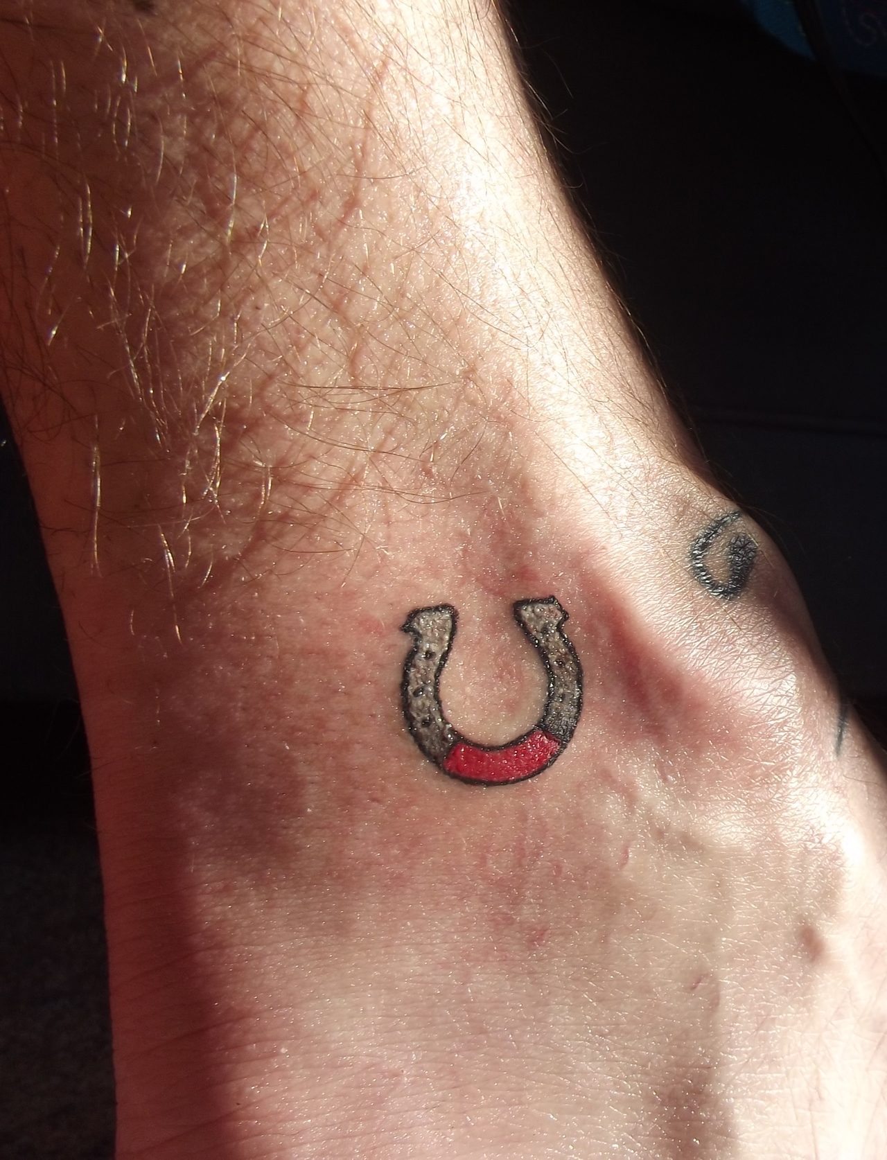 Decorative Horse Shoe Image