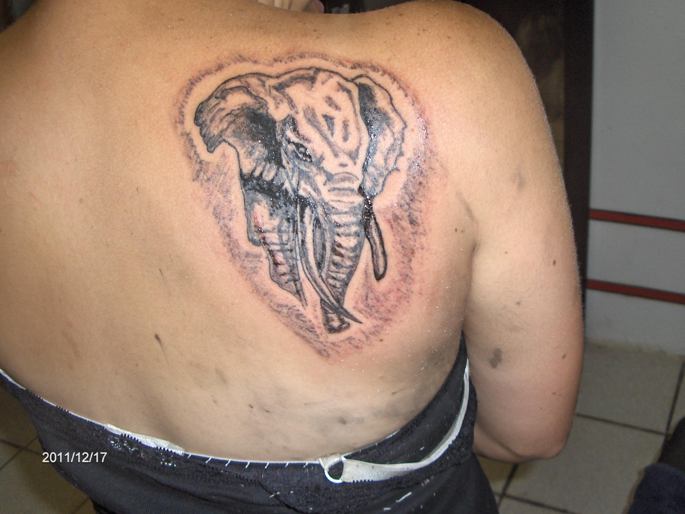 Elephant Tattoos Designs, Ideas and Meaning | Tattoos For You