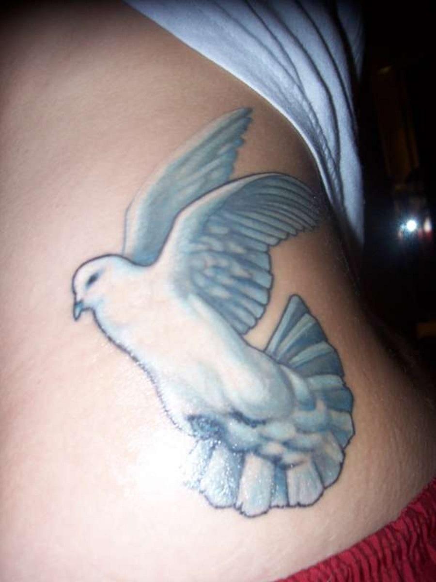 dove tattoos tattoo stomach designs peace side bird rib stylish meaning sheplanet tattoosforyou navigation