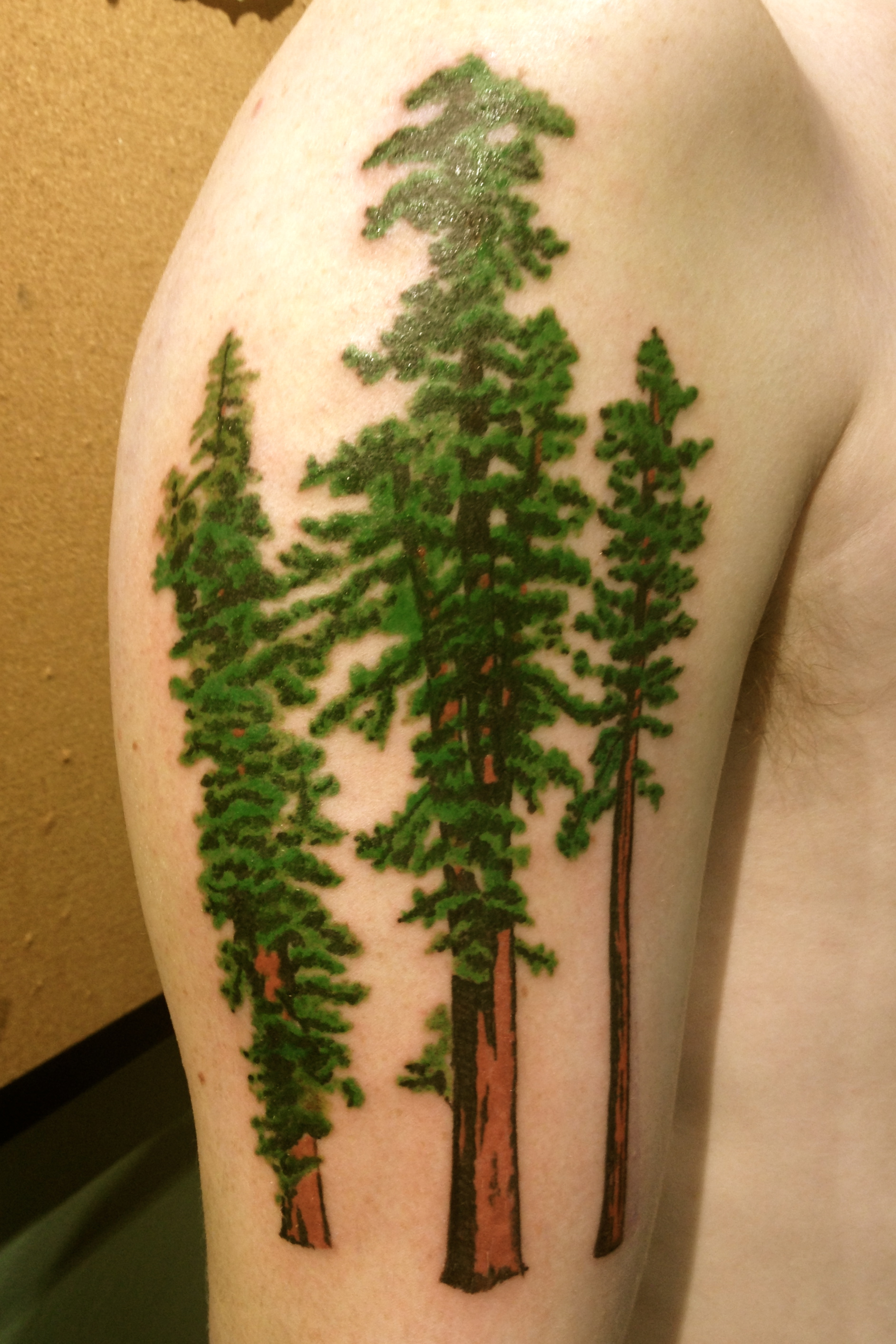 Redwood Tree Tattoo.