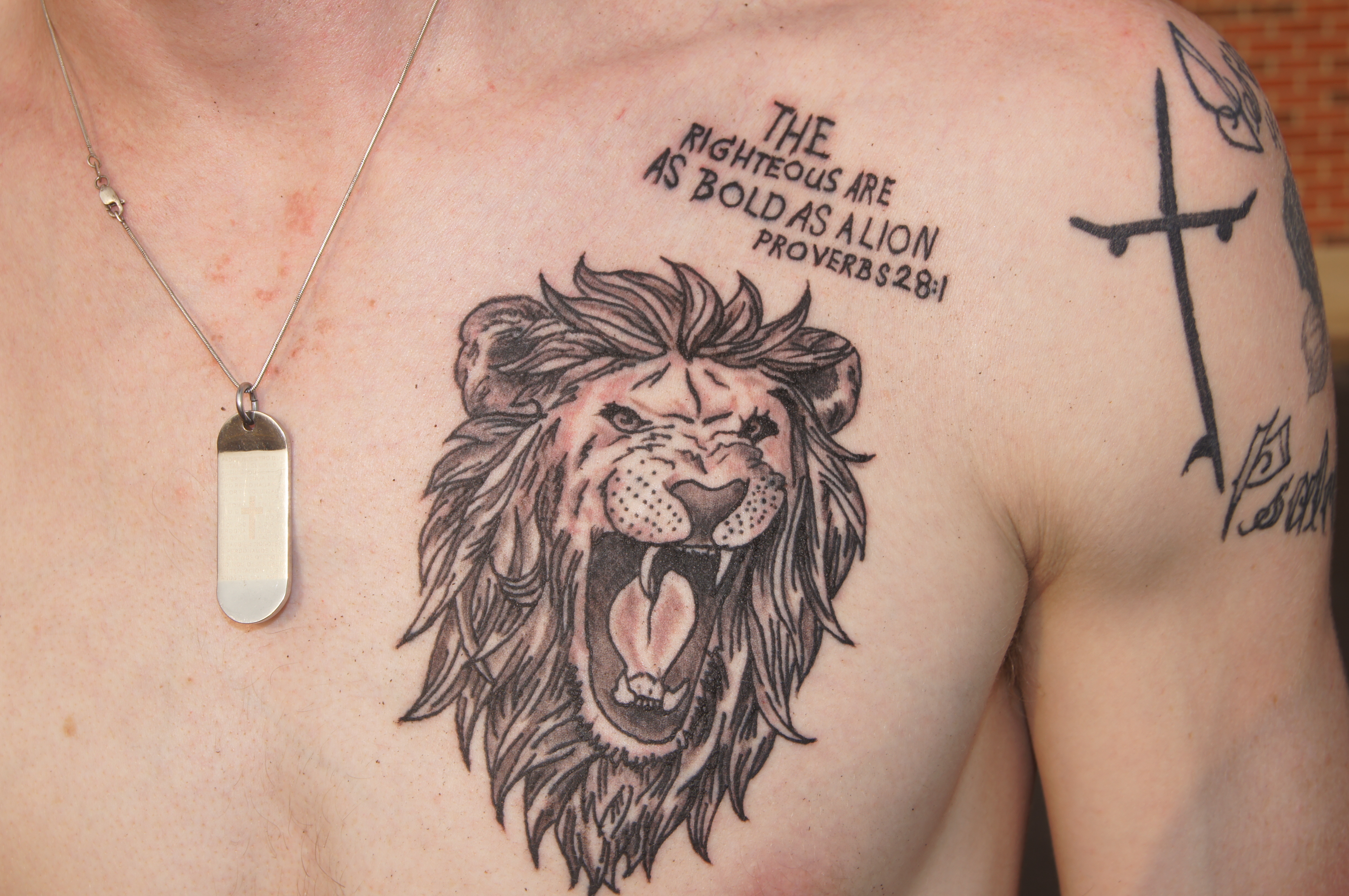Lion Linework Tattoo Ideas - wide 3