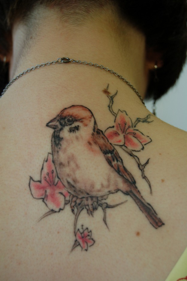 Sparrow Tattoos Designs, Ideas and Meaning Tattoos For You