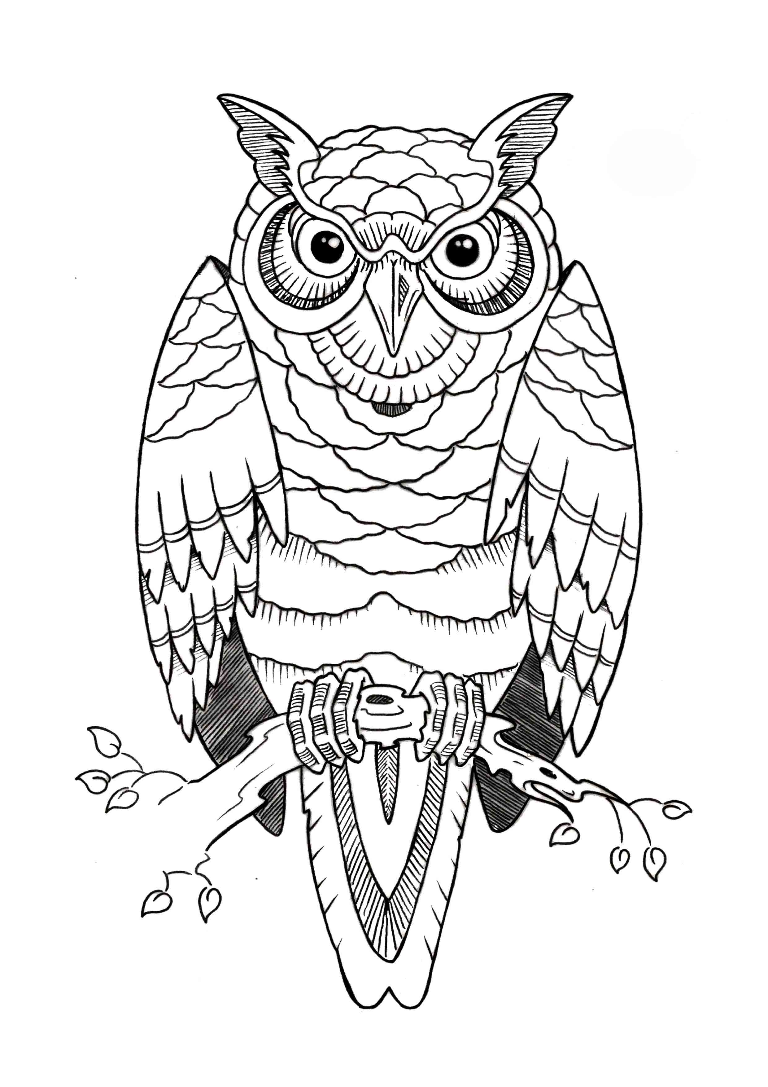 Owl Tattoos Designs Ideas And Meaning Tattoos For You free-tattoo-designs-free-tattoo-designs-free-tattoo-flash-tattoo-sleeve