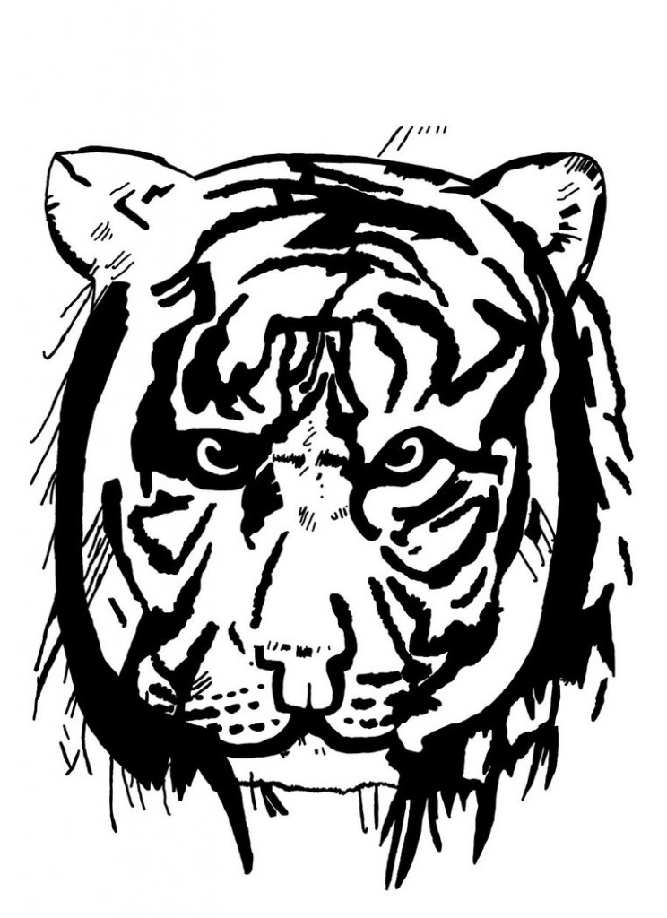 Tiger Tattoos Designs, Ideas and Meaning - Tattoos For You