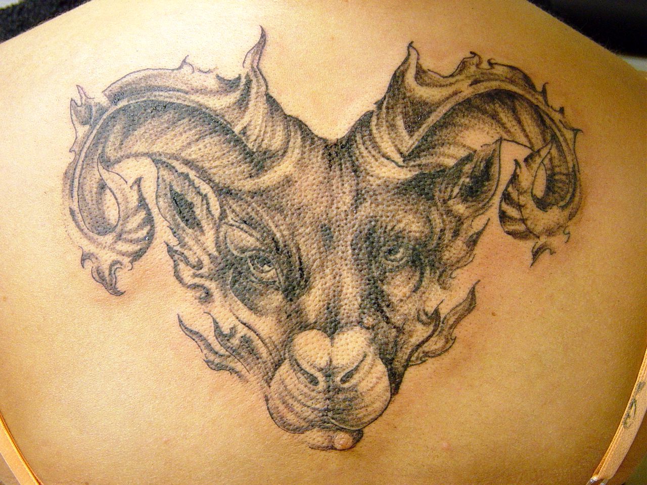 Aries Tattoos Designs, Ideas and Meaning | Tattoos For You