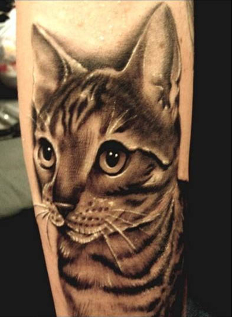 Imagens de tatuagens de gato