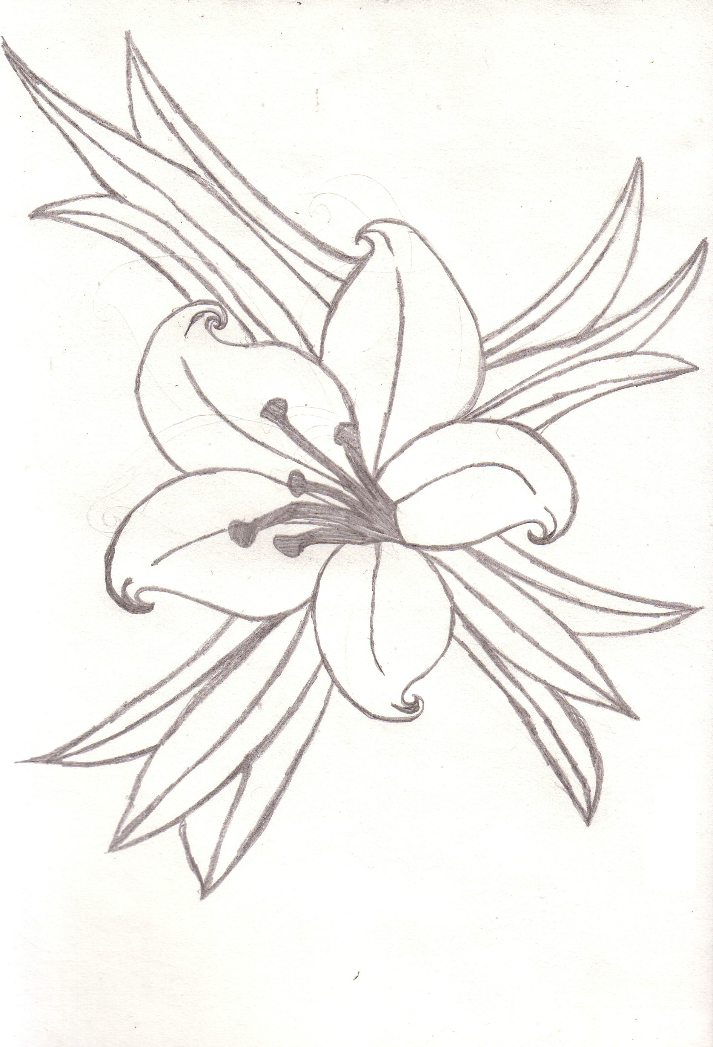 Lily Tattoos Designs, Ideas and Meaning | Tattoos For You