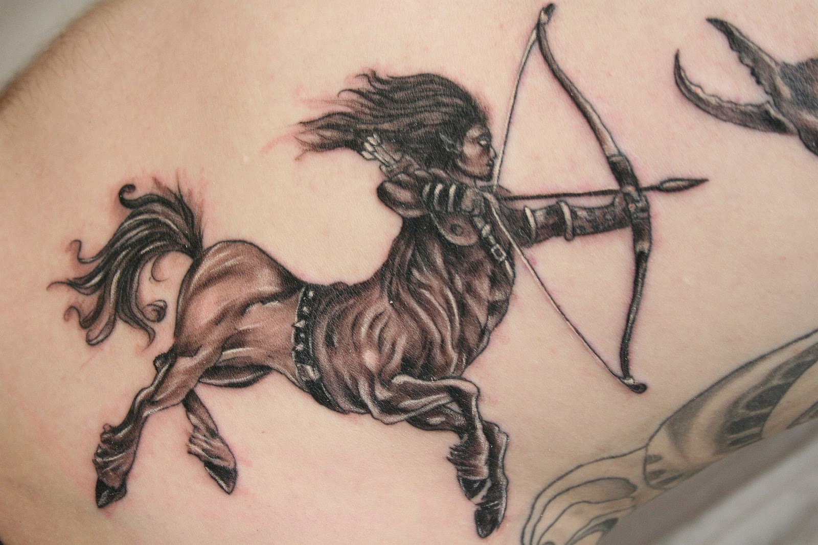 Sagittarius Tattoos Designs Ideas and Meaning Tattoos 