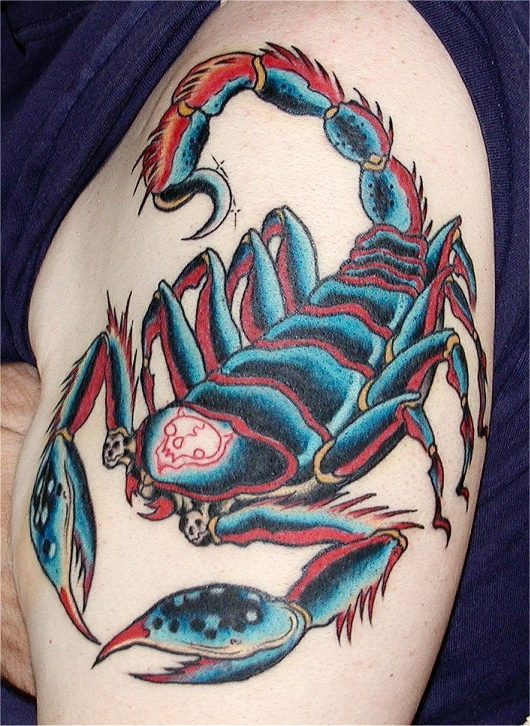 Scorpio Tattoos Designs, Ideas and Meaning Tattoos For You