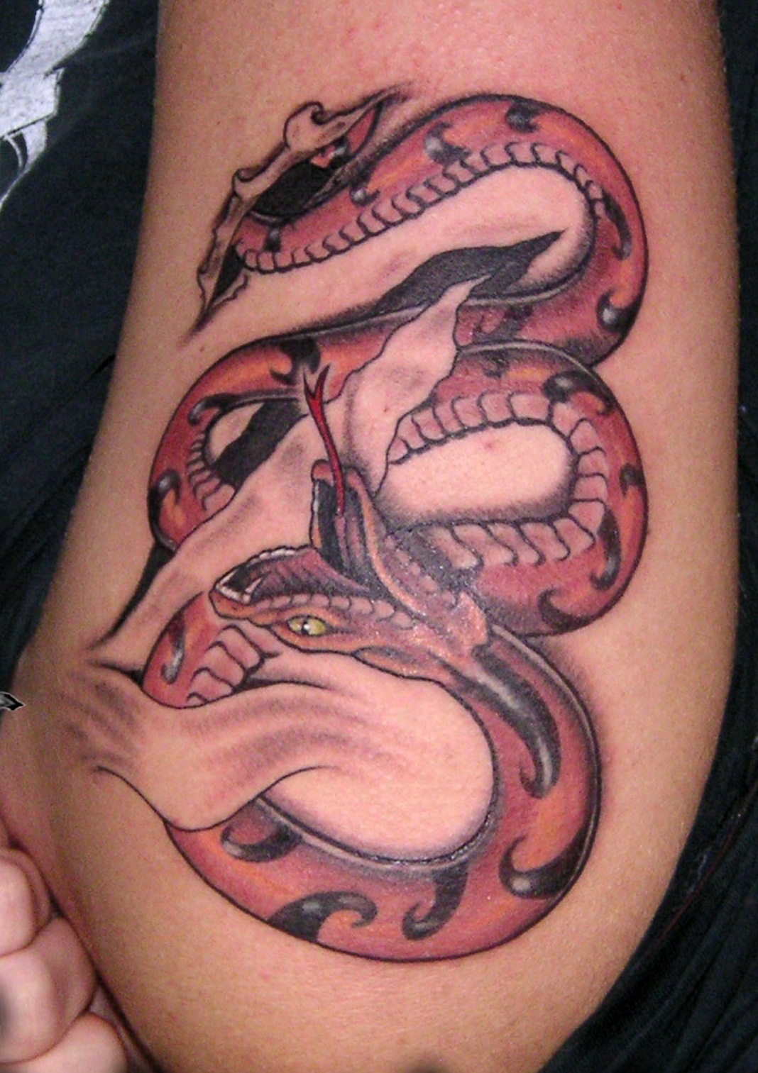 Snake Tattoo Ideas