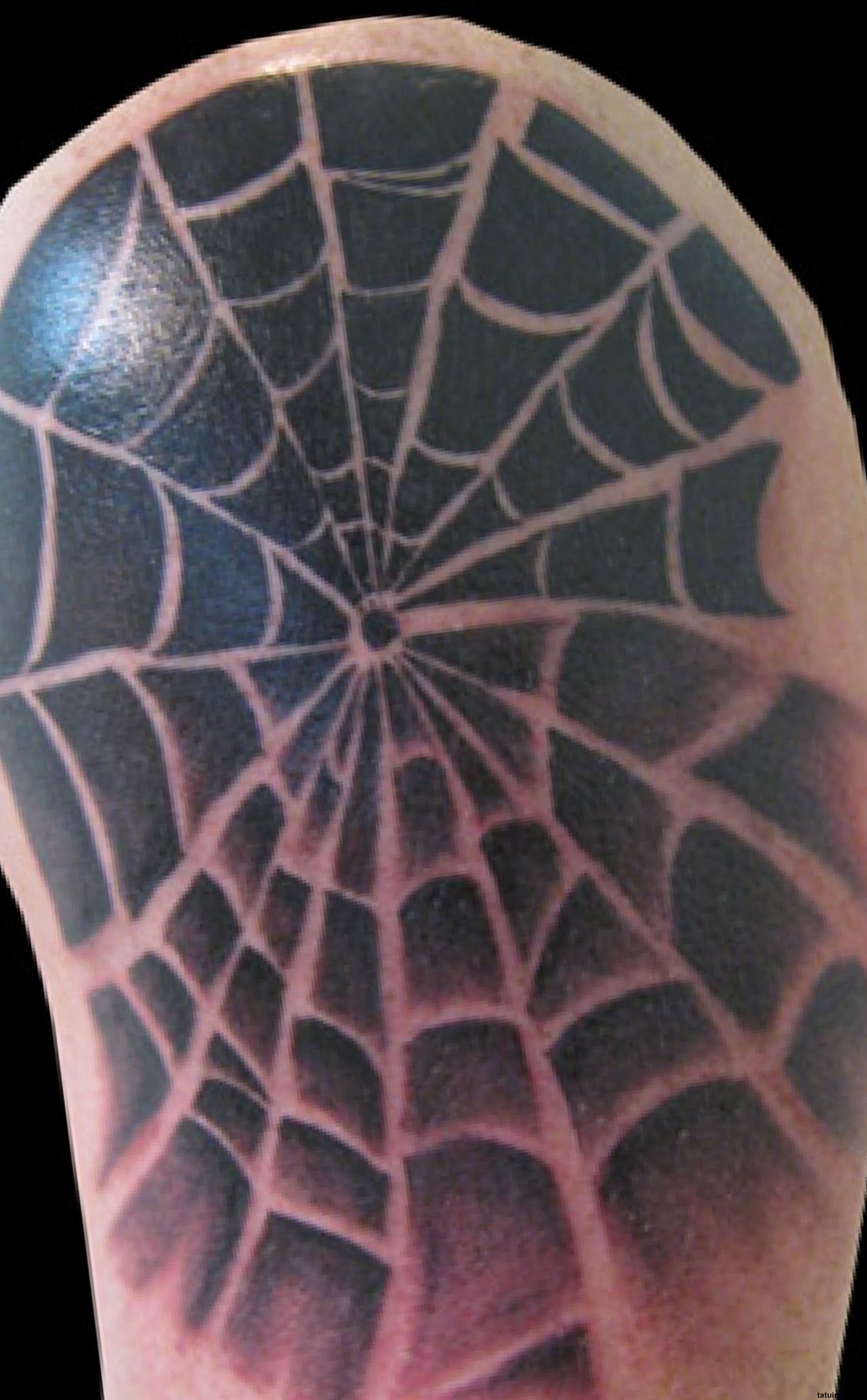 Spider Web Tattoos Designs, Ideas and Meaning | Tattoos For You