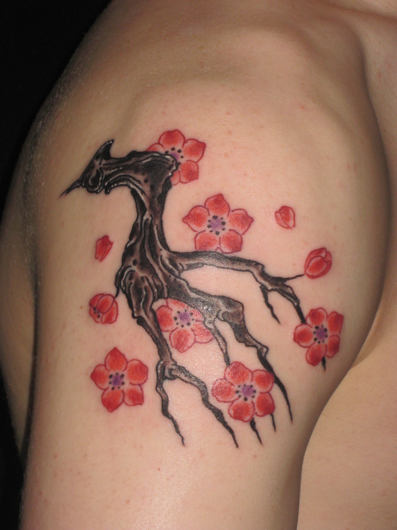 Cherry Blossom Tattoos Designs, Ideas and Meaning | Tattoos For You