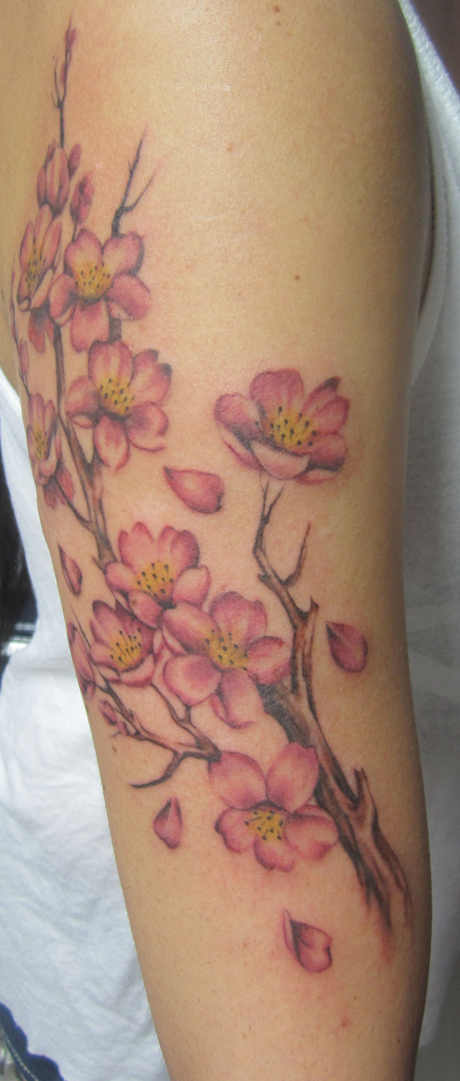 Japanese Cherry Blossom Tattoo Half Sleeve ~ Japanese Tattoo Cherry ...