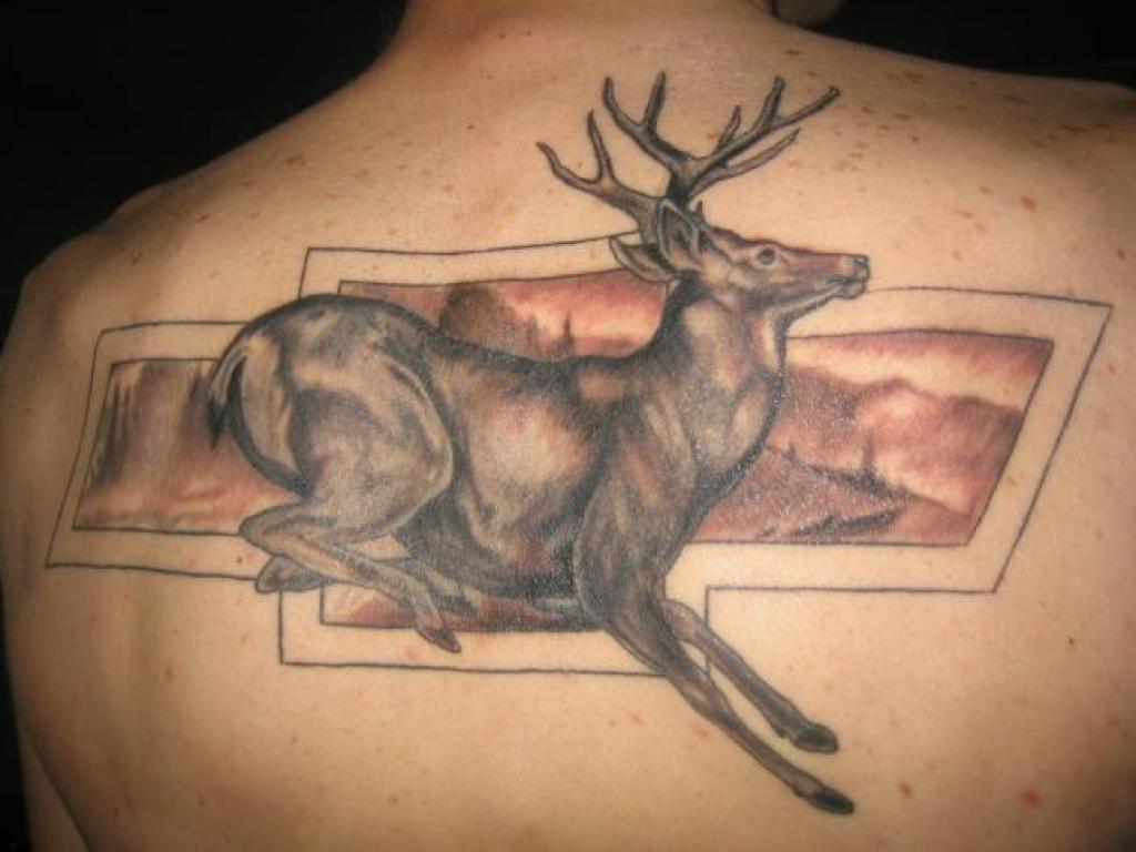 Deer Tattoo Designs.