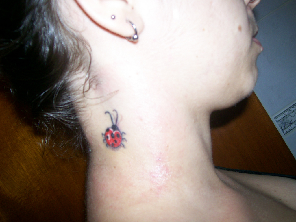 Ladybug Tattoos Designs, Ideas and Meaning | Tattoos For You