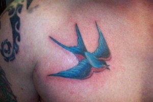 Bluebird Tattoo Images