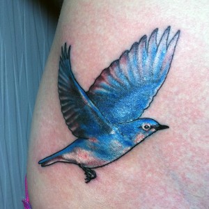 Bluebird Tattoos Designs, Ideas and Meaning - Tattoos For You