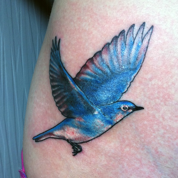 Traditional Bluebird Tattoo Design