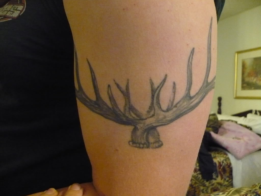 Antler Tattoos Designs, Ideas and Meaning | Tattoos For You