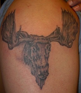 Moose Tattoo Images