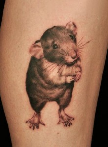 Rat Tattoo