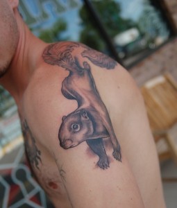 Squirrel Tattoo Design